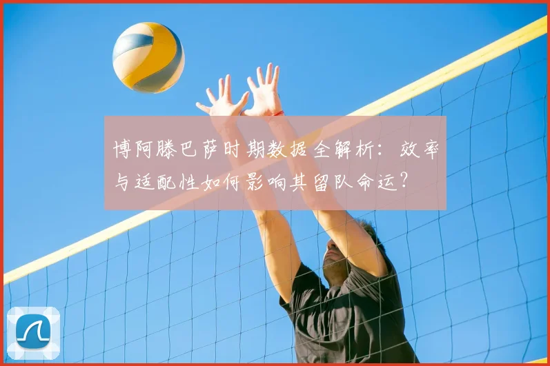 博阿滕巴萨时期数据全解析：效率与适配性如何影响其留队命运？