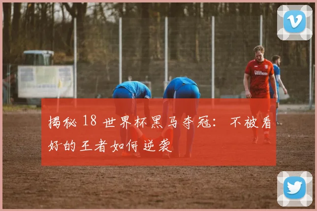 揭秘 18 世界杯黑马夺冠:不被看好的王者如何逆袭